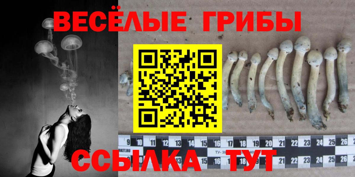 Псилоцибиновые грибы Magic Shrooms  Вход с VPN  Кандалакша  где купить   Псилоцибиновые грибы прущие грибы 